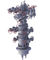 Well Drilling Oil Wellhead Equipment Assembled Thermal Wellhead Oil Medium supplier